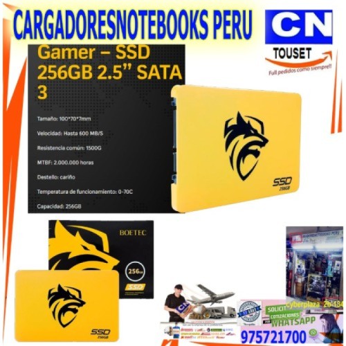 DISCO SOLIDO 256GB DE 2.5 DE BOETEC