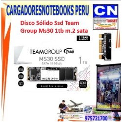 disco solido MS30 M.2 2280 SATA SSD 1TB disco solido MS30 M.2 2280 SATA SSD 1TB